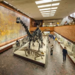 Smaruj to – Spektakl, NIP i Wrocławski Teatr Niemcewicza 7 9 Warszawa — Lokalizacja i porównanie