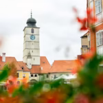 Doradztwo w ochronie środowiska: wdrożenie KPI środowiskowych i ich prezentacja interesariuszom w raportach rocznych