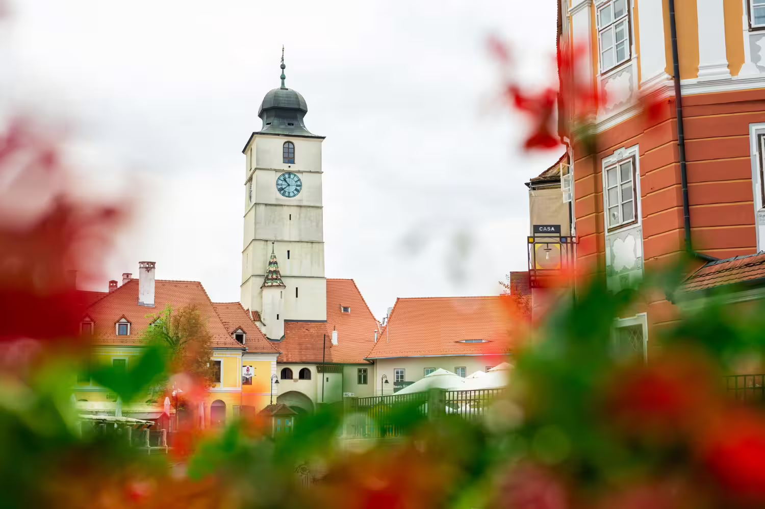 Jak komunikować osiągnięcia środowiskowe interesariuszom